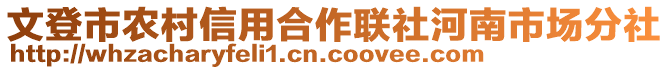 文登市農村信用合作聯社河南市場分社
