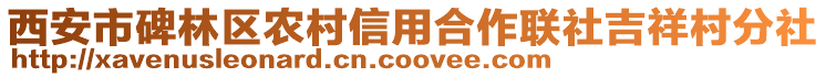 西安市碑林區(qū)農(nóng)村信用合作聯(lián)社吉祥村分社