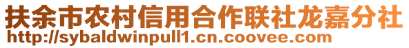 扶余市農村信用合作聯社龍嘉分社