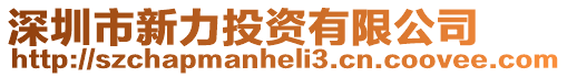 深圳市新力投資有限公司