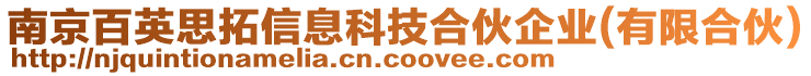 南京百英思拓信息科技合伙企業(有限合伙)