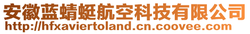 安徽藍蜻蜓航空科技有限公司