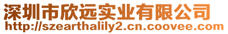 深圳市欣遠實業有限公司