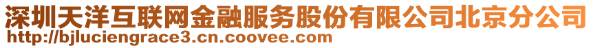 深圳天洋互聯網金融服務股份有限公司北京分公司