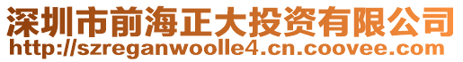 深圳市前海正大投資有限公司