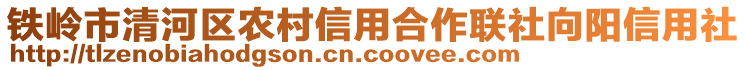 鐵嶺市清河區(qū)農(nóng)村信用合作聯(lián)社向陽信用社