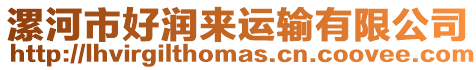 漯河市好潤來運輸有限公司