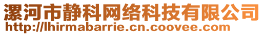 漯河市靜科網(wǎng)絡(luò)科技有限公司