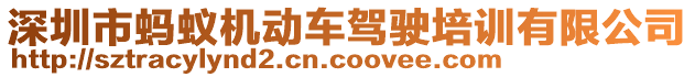 深圳市螞蟻機(jī)動(dòng)車駕駛培訓(xùn)有限公司