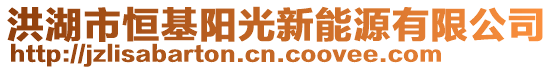 洪湖市恒基陽光新能源有限公司