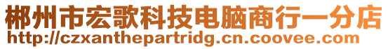 郴州市宏歌科技電腦商行一分店