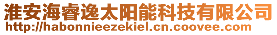 淮安海睿逸太陽能科技有限公司
