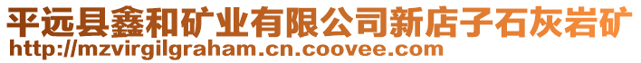 平遠縣鑫和礦業(yè)有限公司新店子石灰?guī)r礦