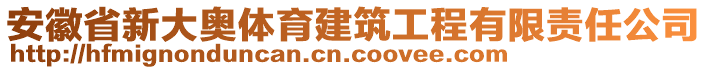 安徽省新大奧體育建筑工程有限責任公司