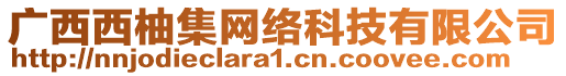 廣西西柚集網(wǎng)絡(luò)科技有限公司