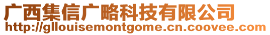 廣西集信廣略科技有限公司