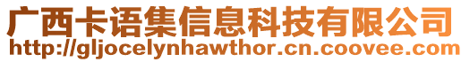 廣西卡語集信息科技有限公司