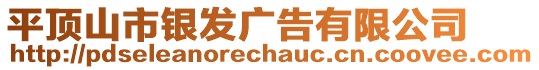 平頂山市銀發(fā)廣告有限公司