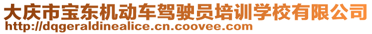 大慶市寶東機(jī)動(dòng)車駕駛員培訓(xùn)學(xué)校有限公司