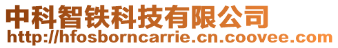 中科智鐵科技有限公司