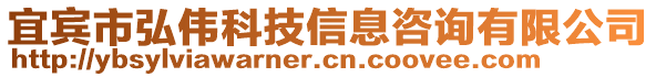 宜賓市弘偉科技信息咨詢有限公司