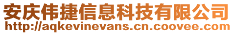 安慶偉捷信息科技有限公司