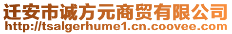 遷安市誠方元商貿(mào)有限公司