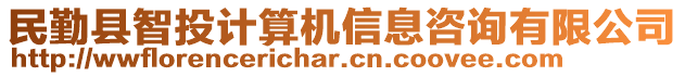 民勤縣智投計算機信息咨詢有限公司