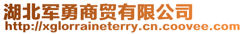 湖北軍勇商貿有限公司