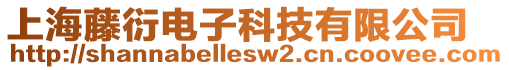 上海藤衍電子科技有限公司