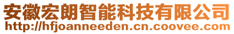 安徽宏朗智能科技有限公司