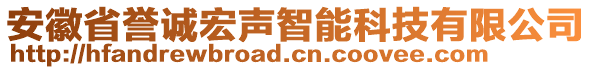 安徽省譽誠宏聲智能科技有限公司