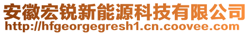 安徽宏銳新能源科技有限公司