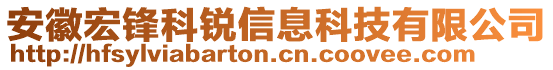 安徽宏鋒科銳信息科技有限公司