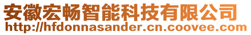 安徽宏暢智能科技有限公司