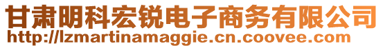 甘肅明科宏銳電子商務(wù)有限公司