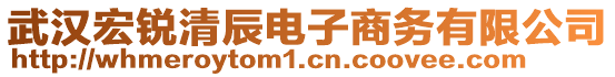 武漢宏銳清辰電子商務有限公司