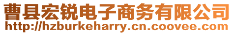 曹縣宏銳電子商務有限公司