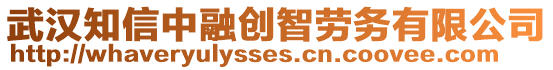 武漢知信中融創智勞務有限公司