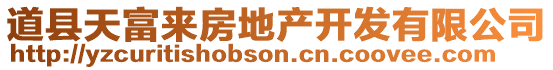 道縣天富來(lái)房地產(chǎn)開(kāi)發(fā)有限公司