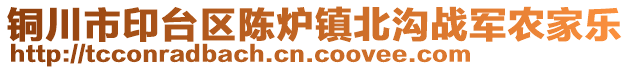 銅川市印臺區(qū)陳爐鎮(zhèn)北溝戰(zhàn)軍農(nóng)家樂