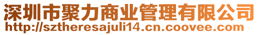 深圳市聚力商業(yè)管理有限公司