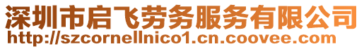 深圳市啟飛勞務(wù)服務(wù)有限公司