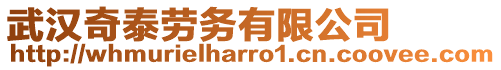 武漢奇泰勞務有限公司