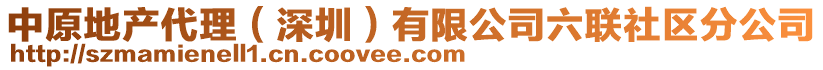 中原地產(chǎn)代理（深圳）有限公司六聯(lián)社區(qū)分公司