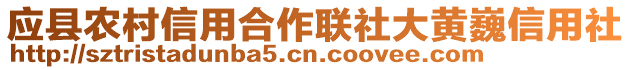 應縣農(nóng)村信用合作聯(lián)社大黃巍信用社