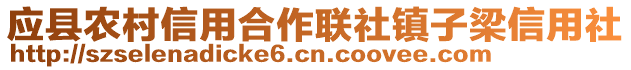 應縣農村信用合作聯社鎮子梁信用社