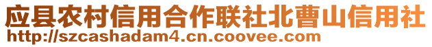 應縣農村信用合作聯社北曹山信用社
