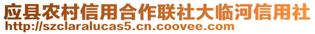 應縣農村信用合作聯社大臨河信用社
