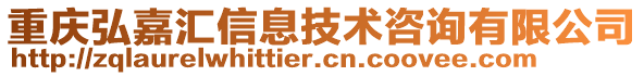 重庆弘嘉汇信息技术咨询有限公司